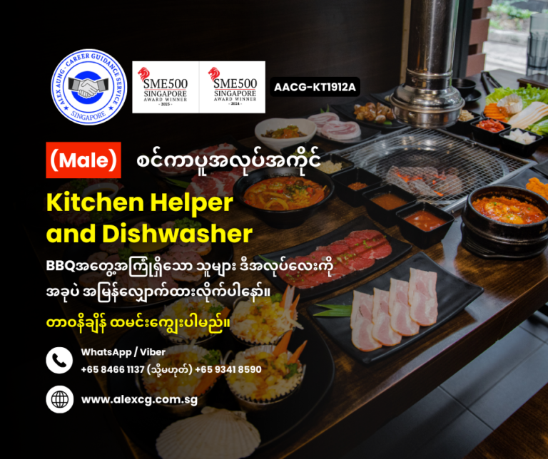 Kitchen Helper and Dishwasher