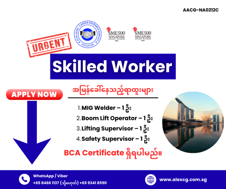Skilled Worker