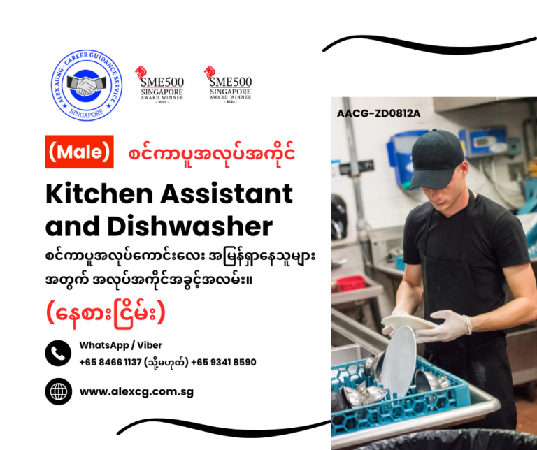 Kitchen Assistant and Dishwasher