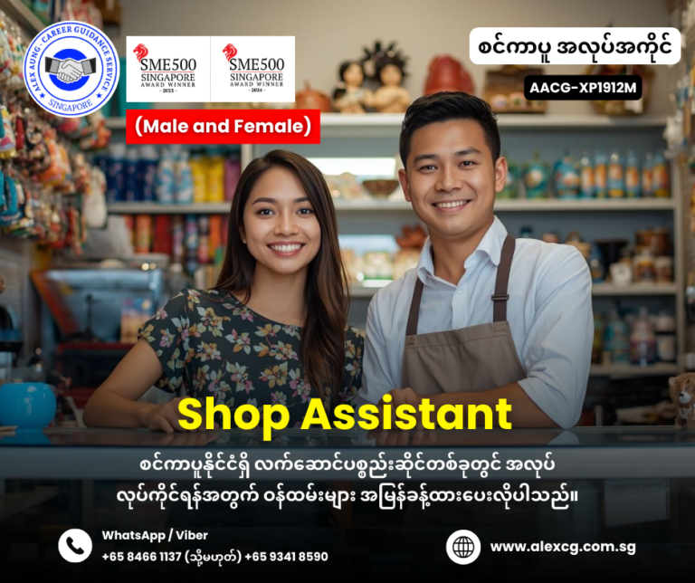 Shop Assistant