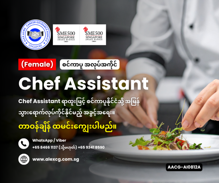 Chef Assistant