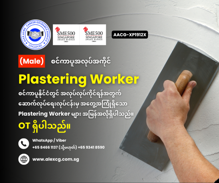 Plastering Worker