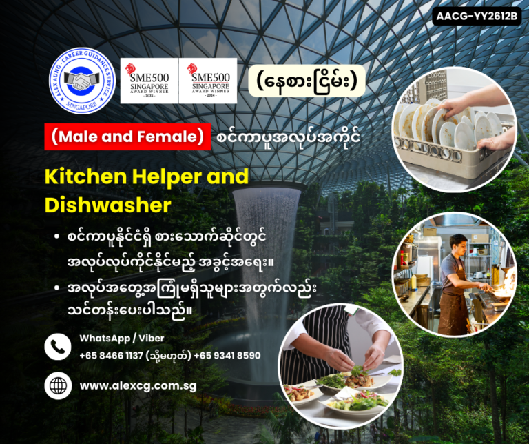 Kitchen Helper and Dishwasher