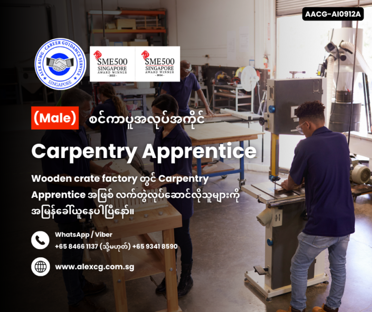 Carpentry Apprentice