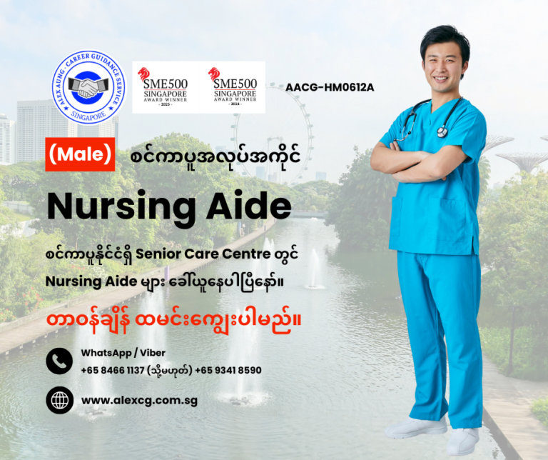 Nursing Aide