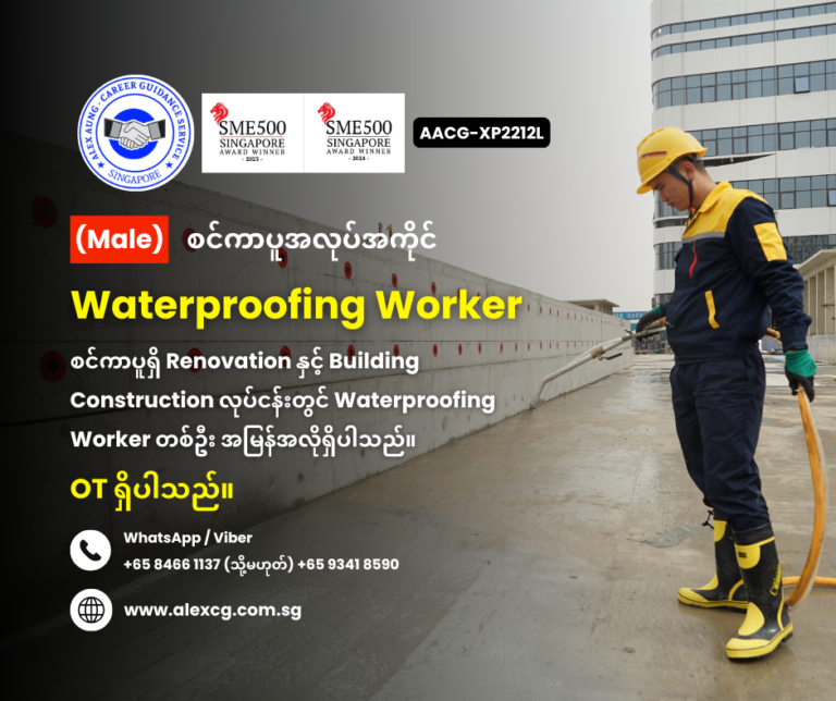 Waterproofing Worker