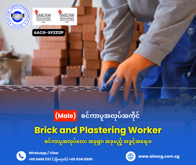 Brick and Plastering Worker