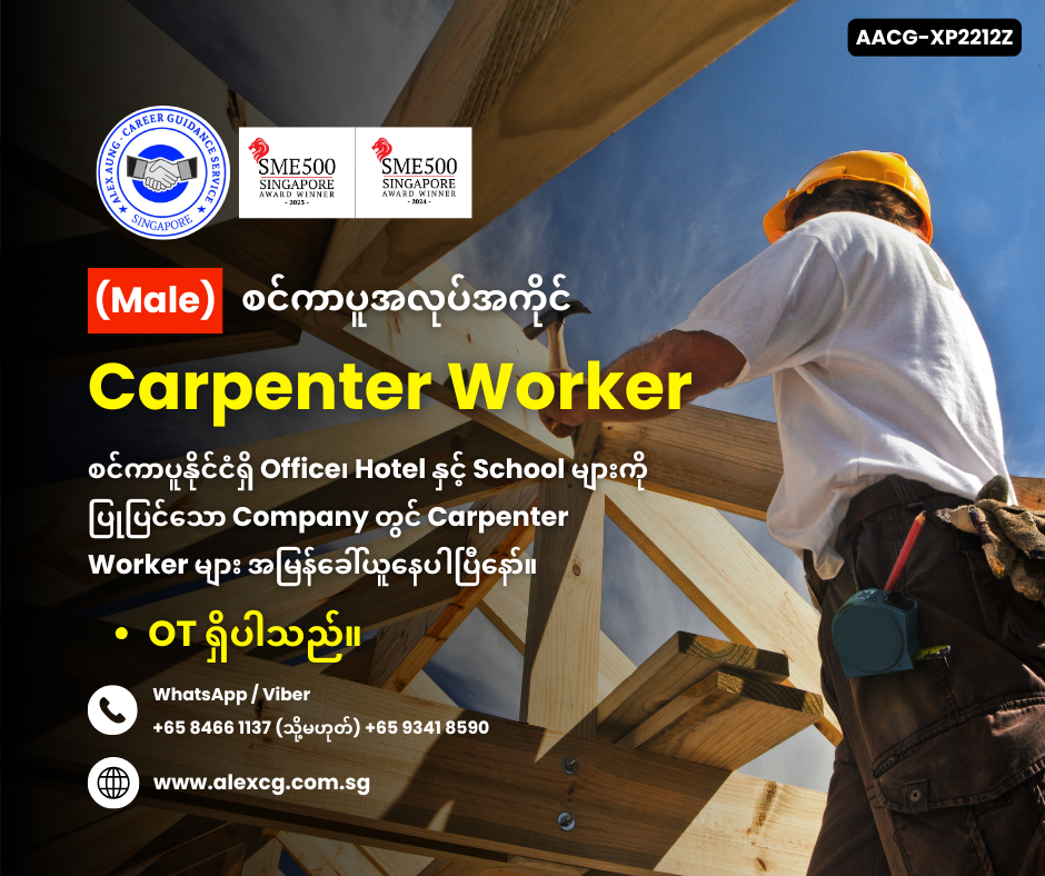 Carpenter Worker