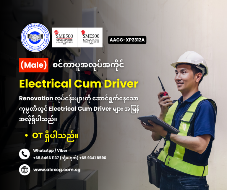 Electrical Cum Driver