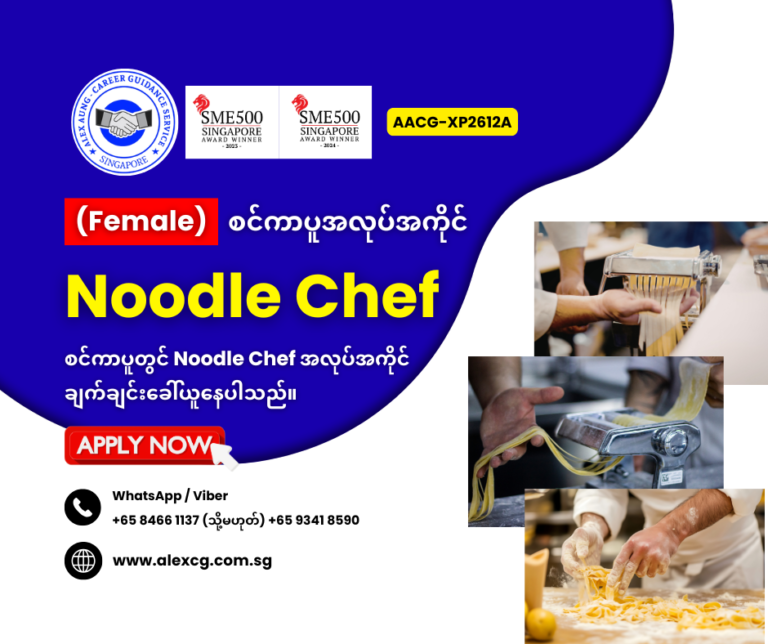 Noodle Chef