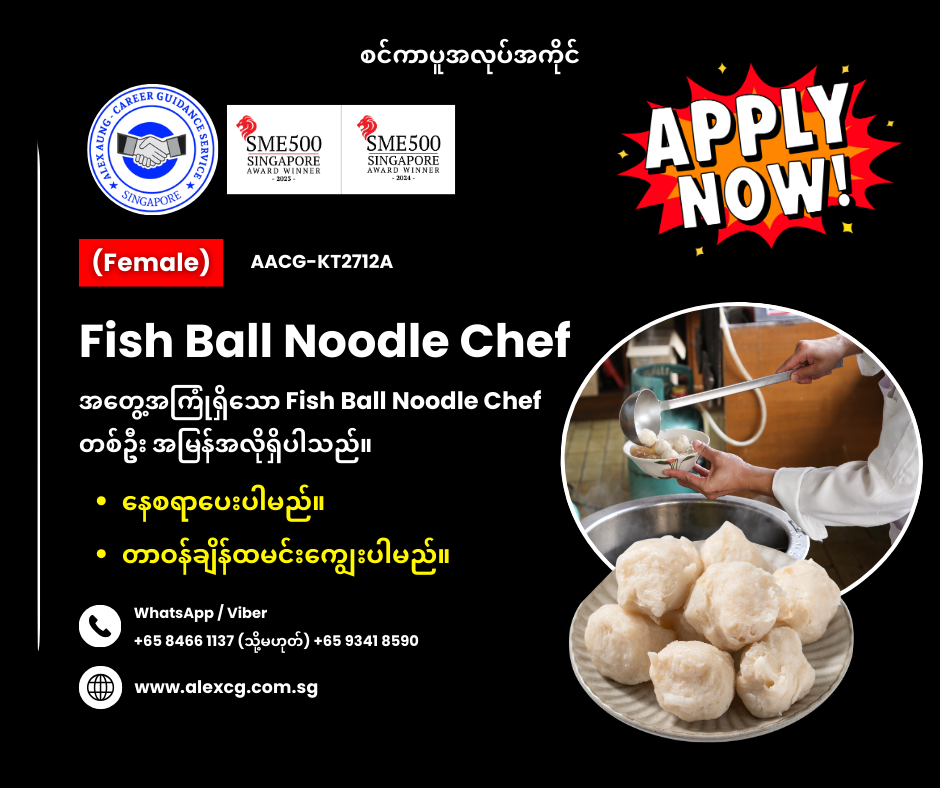 Fish Ball Noodle Chef