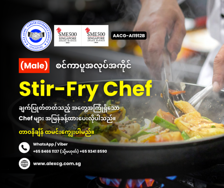 Stir-Fry Chef