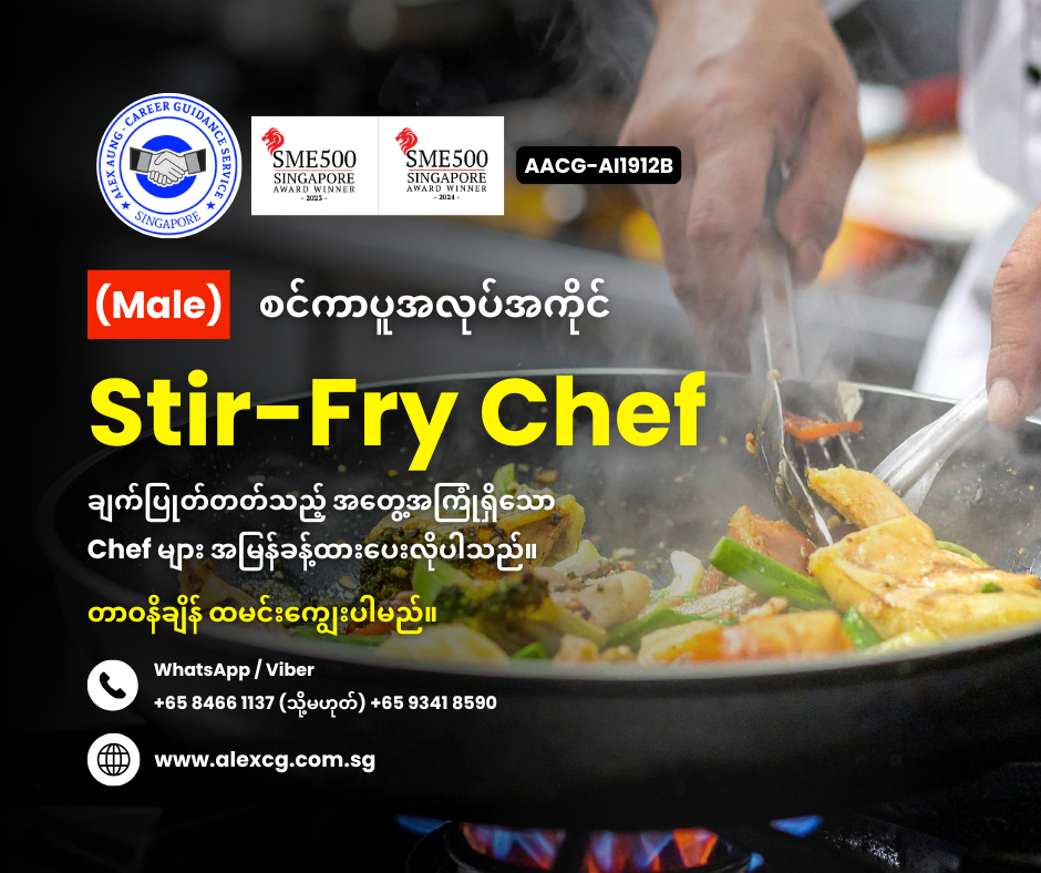 Stir-Fry Chef