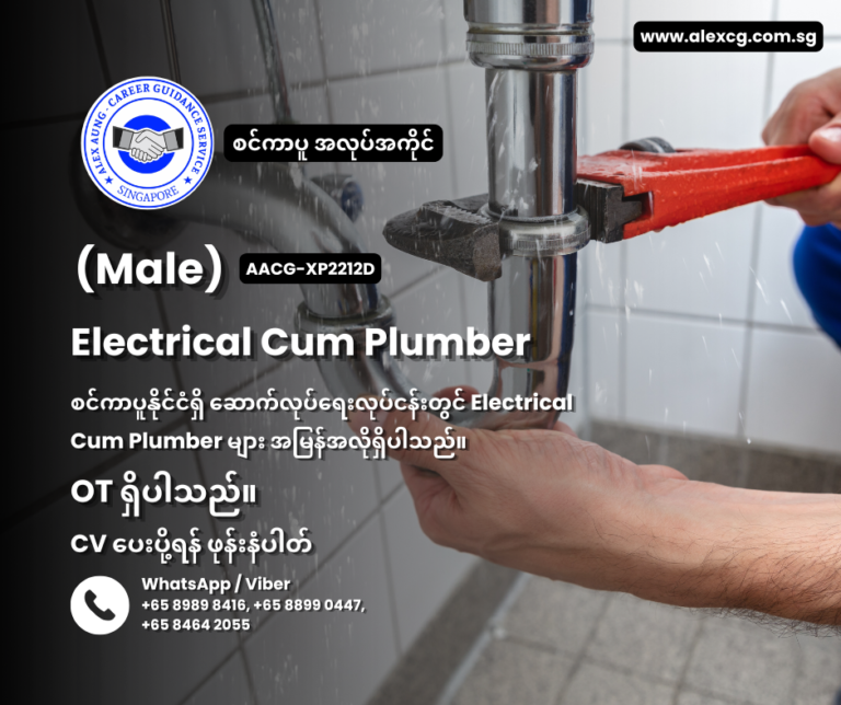 Electrical Cum Plumber