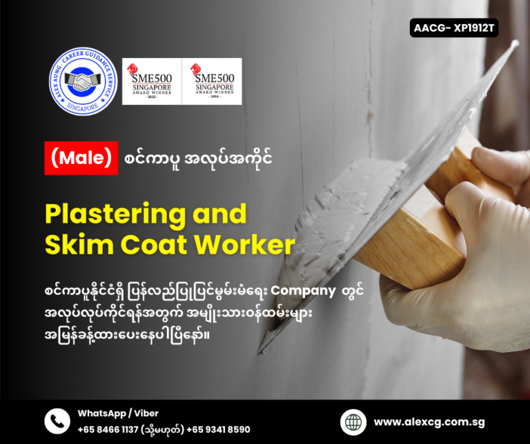 Plastering and Skim Coat Worker