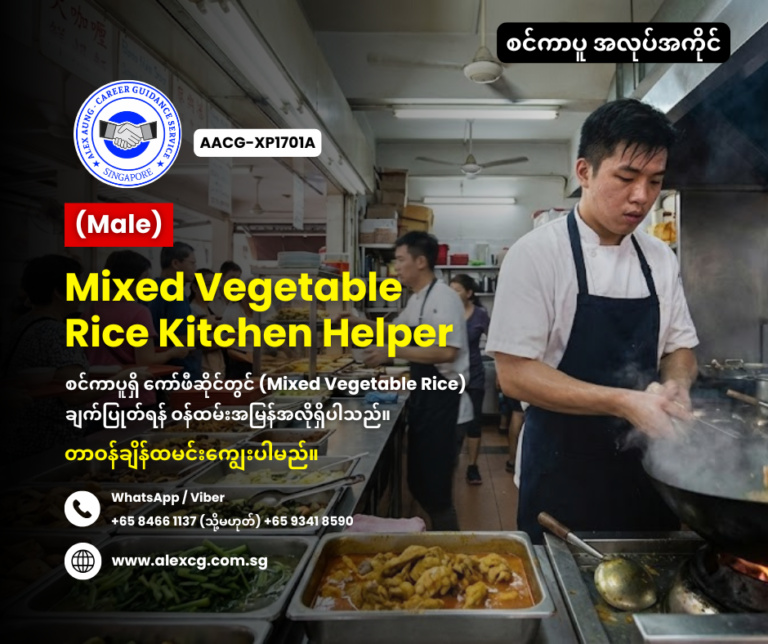 Mixed Vegetable Rice Kitchen Helper