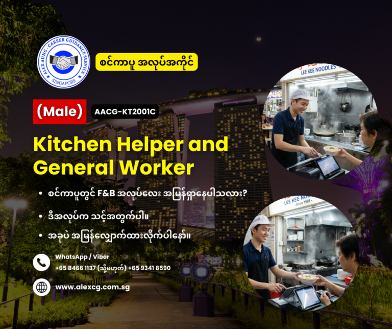 Kitchen Helper and General Worker