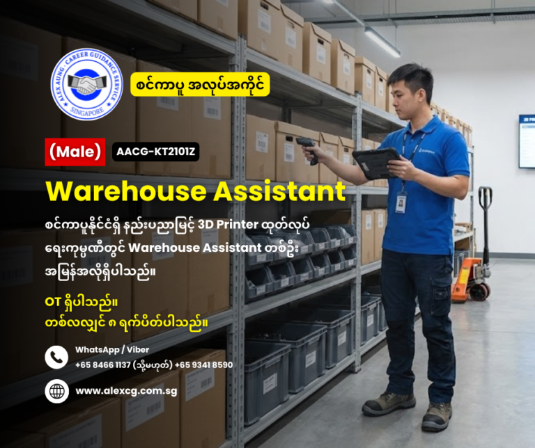 Warehouse Assistant