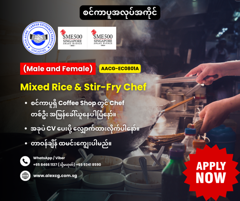 Mixed Rice & Stir-Fry Chef