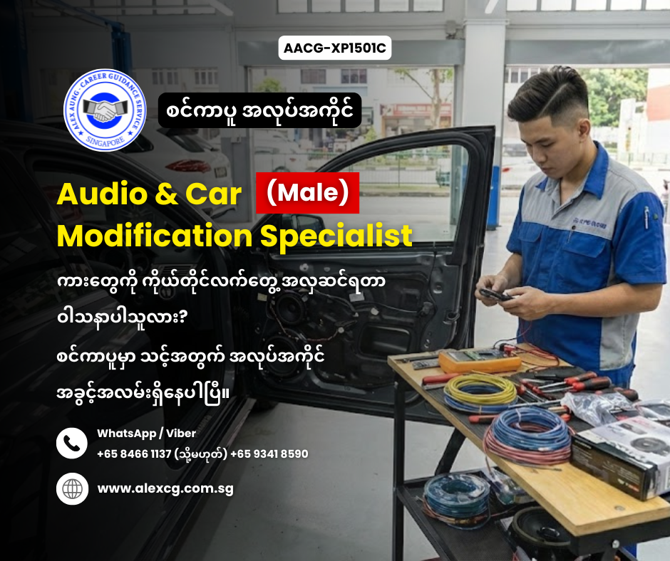Audio & Car Modification Specialist