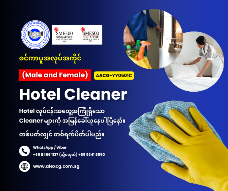 Hotel Cleaner