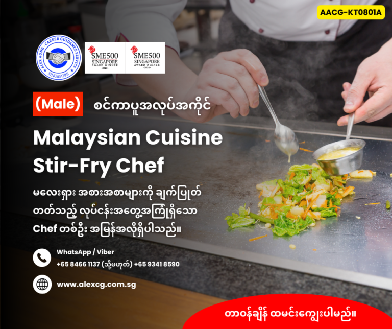 Malaysian Cuisine Stir-Fry Chef