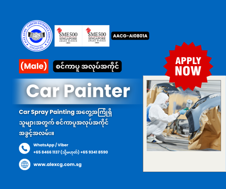 Car Painter