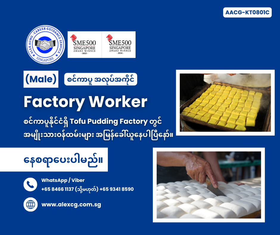 Factory Worker