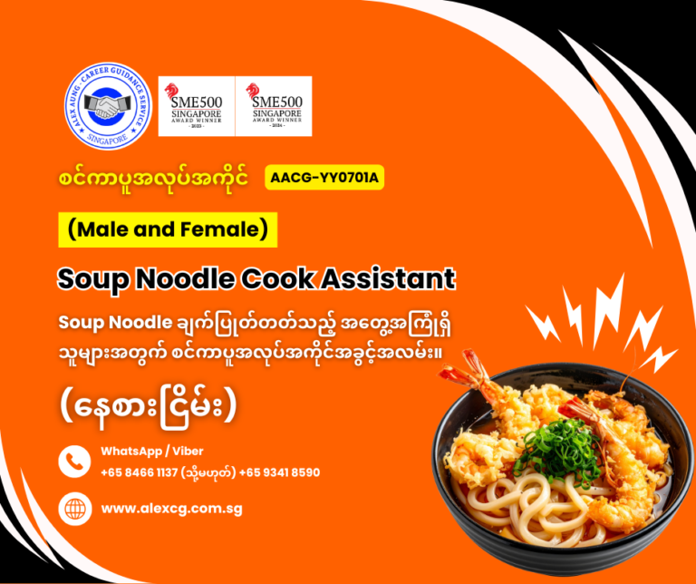 Soup Noodle Cook Assistant