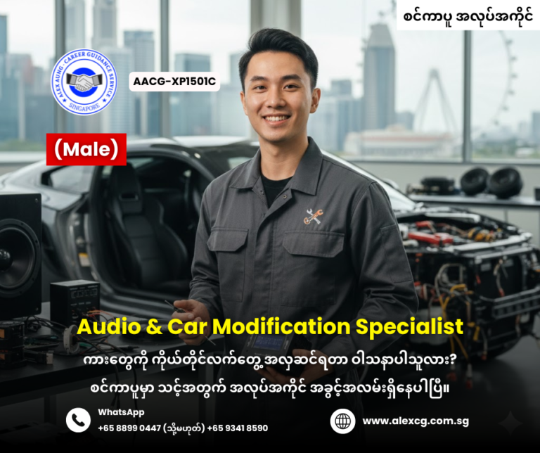 Audio & Car Modification Specialist