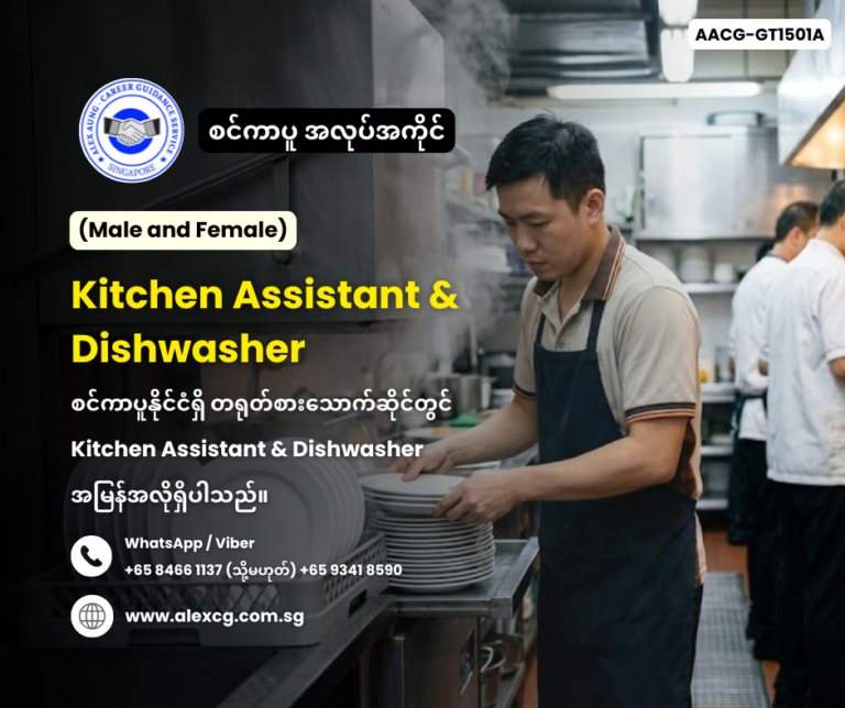 Kitchen Assistant & Dishwasher