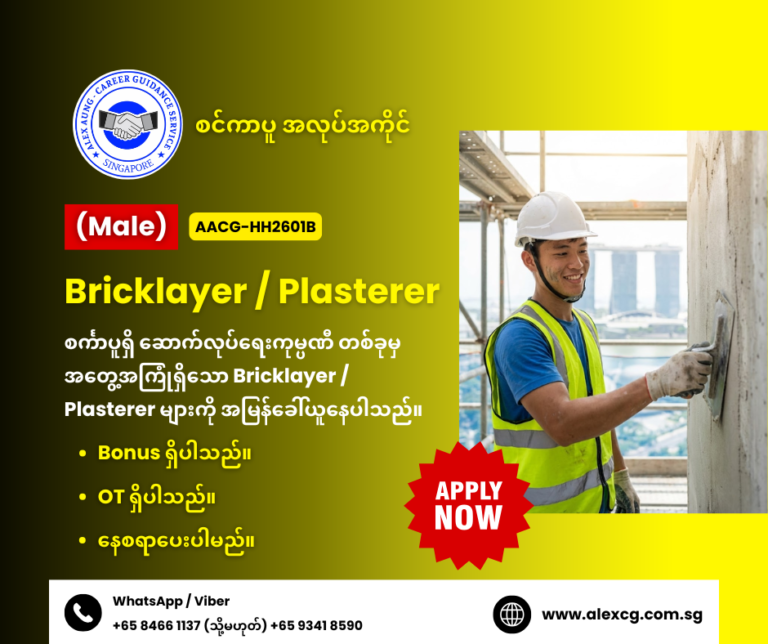 Bricklayer / Plasterer