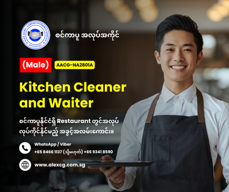 Kitchen Cleaner and Waiter