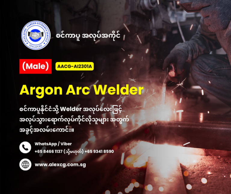 Argon arc welder 