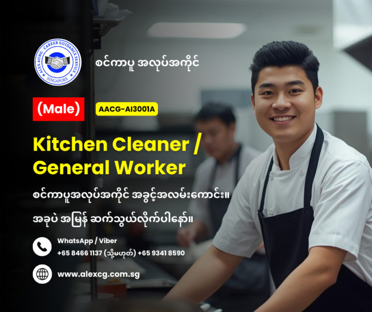Kitchen Cleaner/General Worker