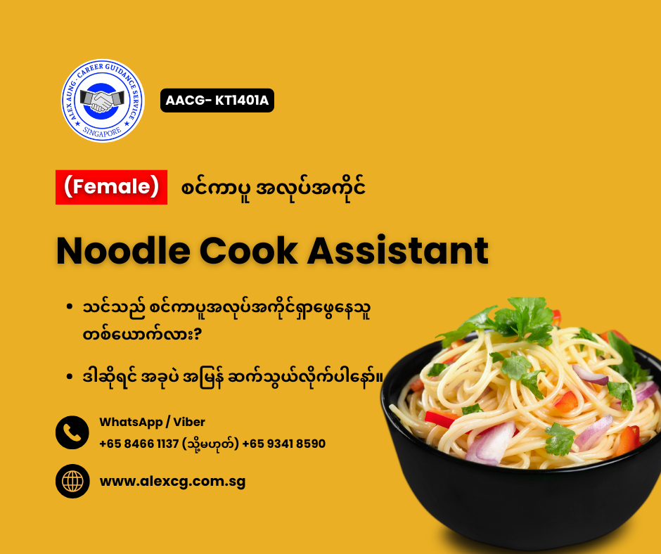 Noodle Cook Assistant