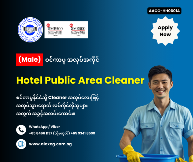 Hotel Public Area Cleaner