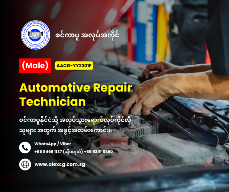 Automotive Repair Technician