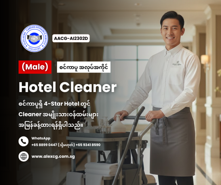 Hotel Cleaner