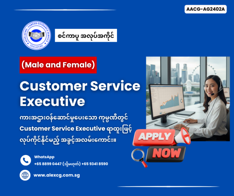 Customer Service Executive