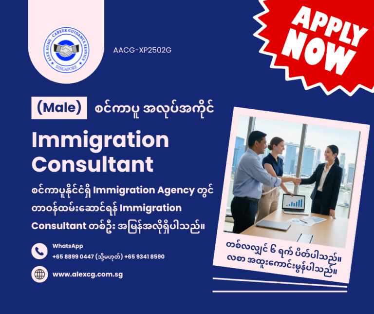 Immigration Consultant
