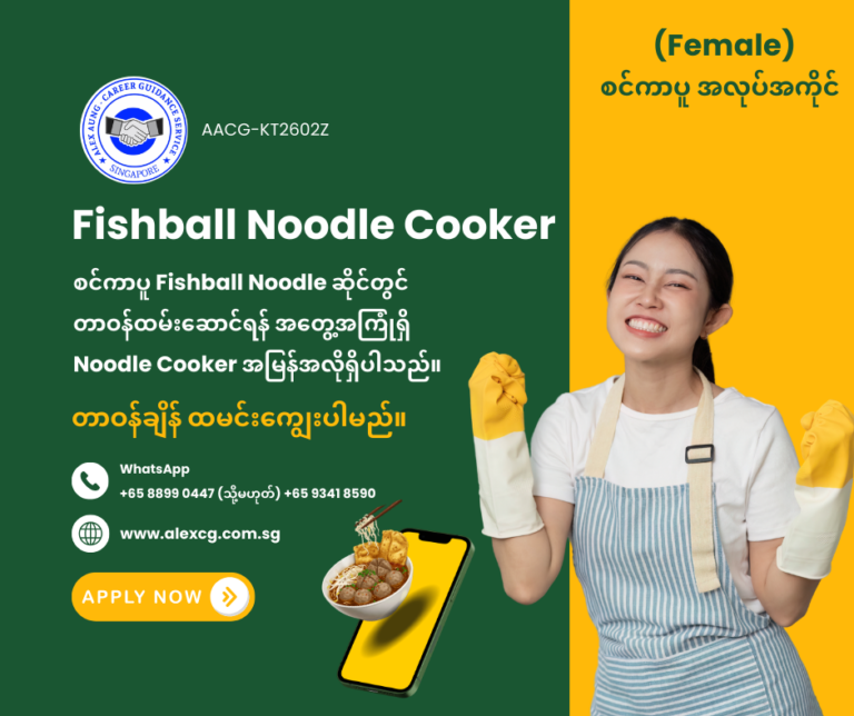 Fishball Noodle Cooker