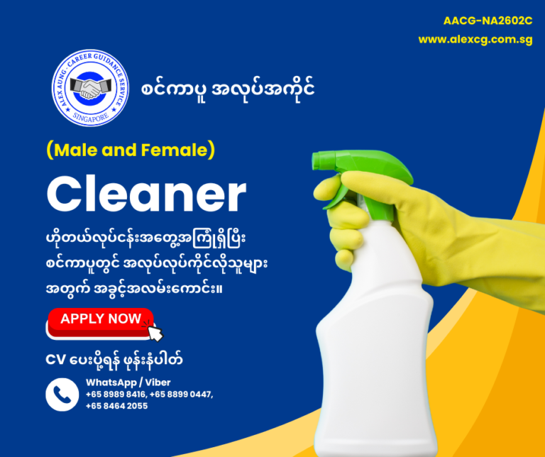 Cleaner