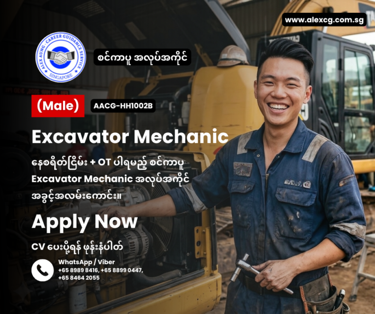 Excavator Mechanic