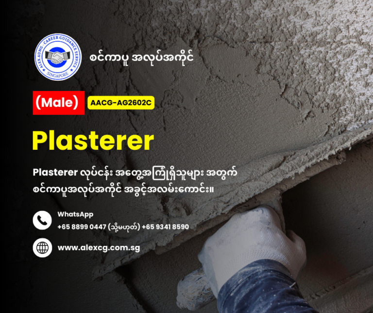 Plasterer