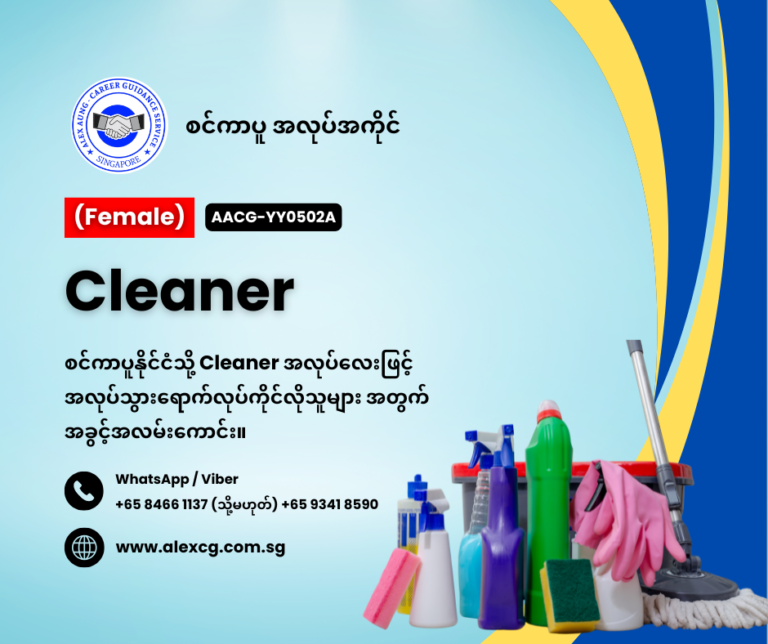 Cleaner