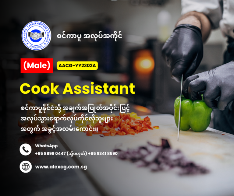 Cook Assistant