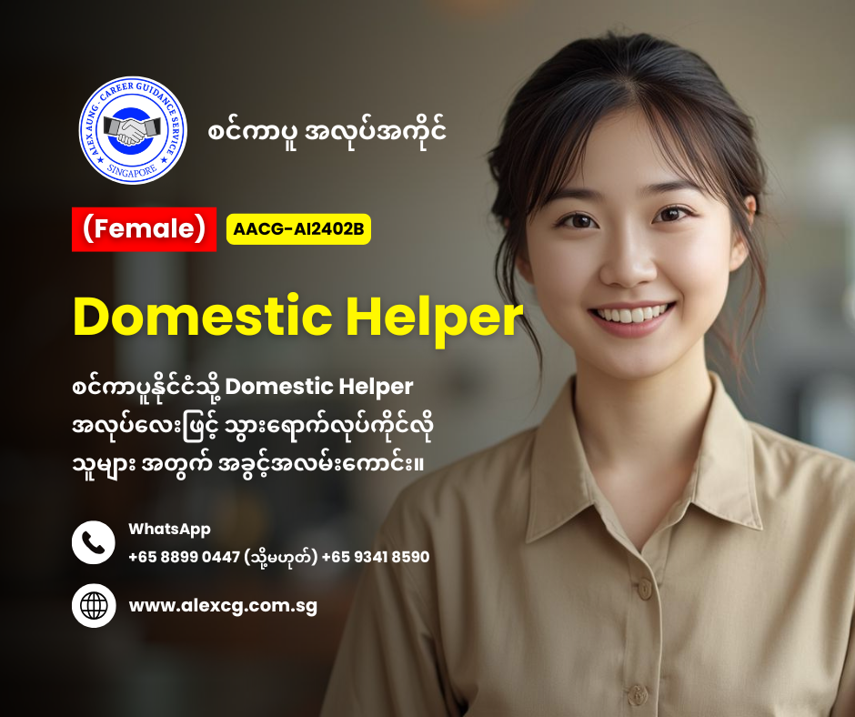 Domestic Helper