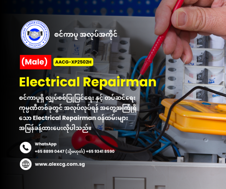 Electrical Repairman