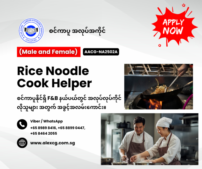 Rice Noodle Cook Helper